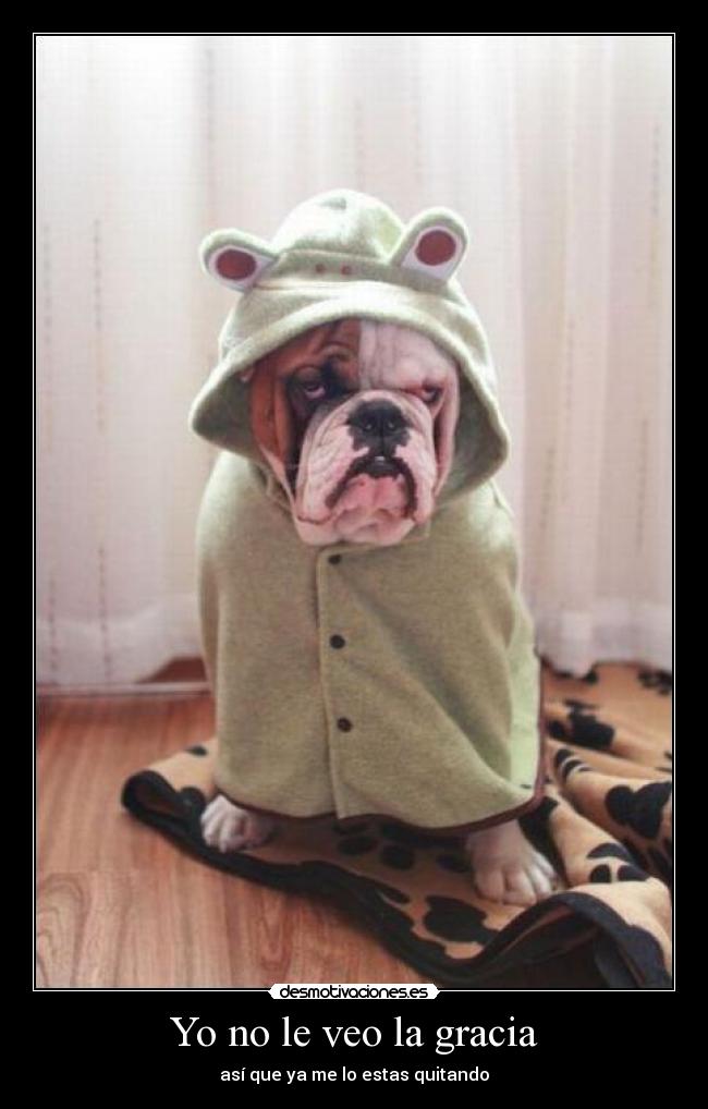 Yo no le veo la gracia -