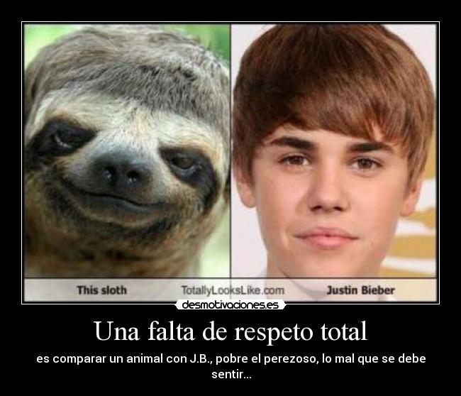 Una falta de respeto total - 