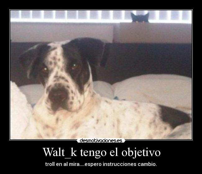 Walt_k tengo el objetivo - troll en al mira....espero instrucciones cambio.