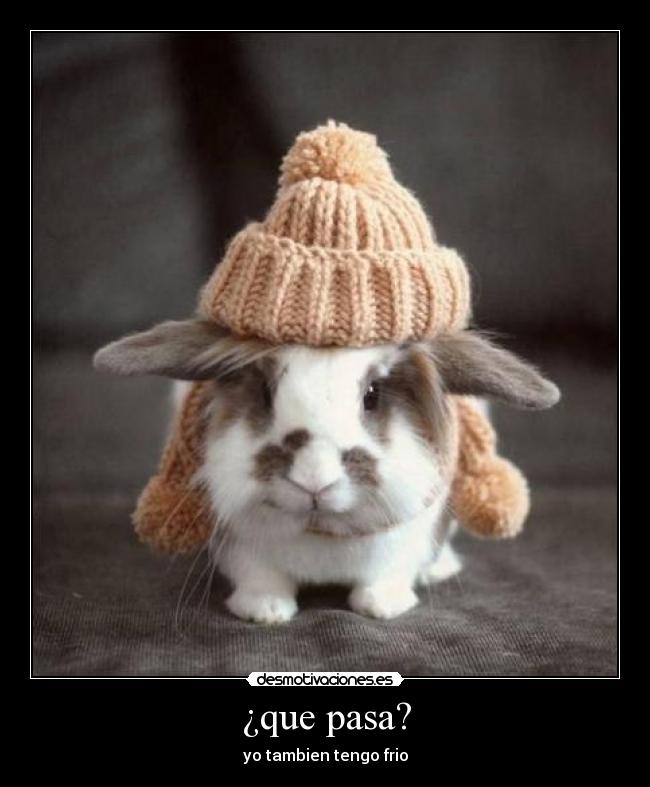 ¿que pasa? - yo tambien tengo frio
