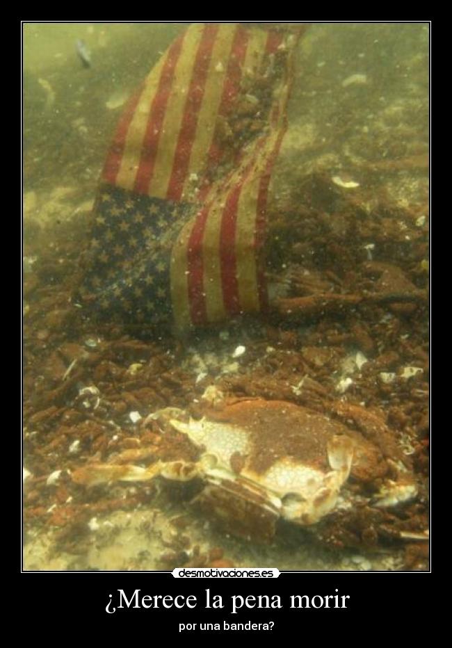 ¿Merece la pena morir - 