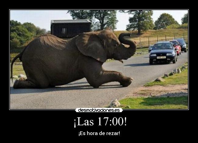 ¡Las 17:00! - ¡Es hora de rezar!