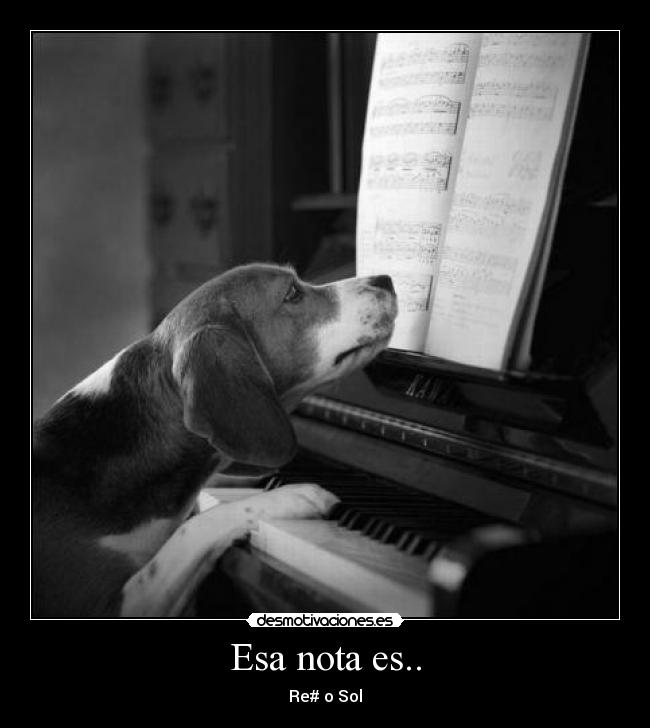 Esa nota es.. - 