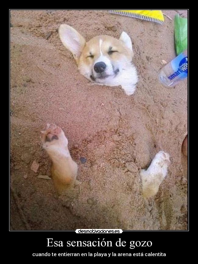 Esa sensación de gozo - 