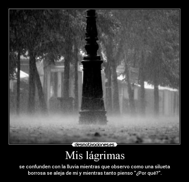 Mis lágrimas - se confunden con la lluvia mientras que observo como una silueta
borrosa se aleja de mi y mientras tanto pienso ¿Por qué?.
