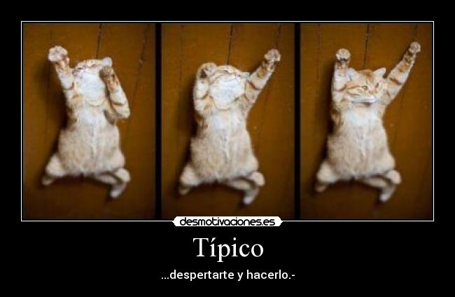 Típico -
