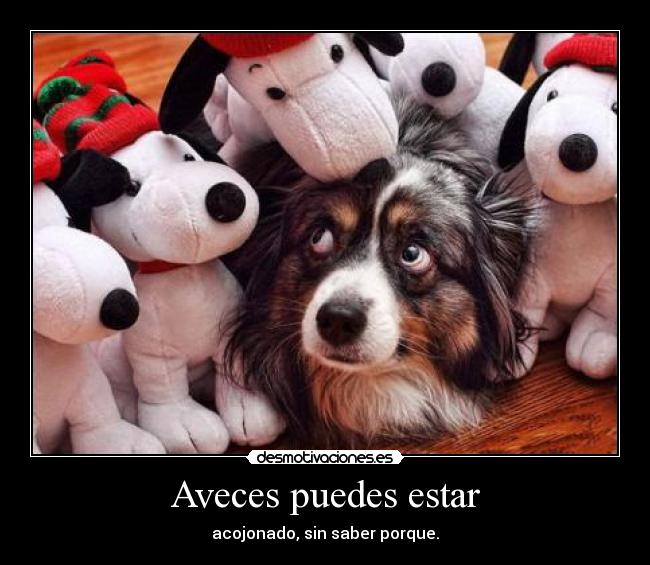 Aveces puedes estar - 