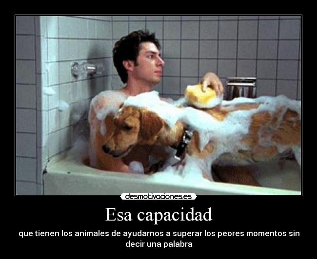 Esa capacidad - que tienen los animales de ayudarnos a superar los peores momentos sin
decir una palabra
