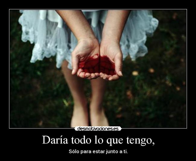 carteles mimimimimi hipsalami elclanviral bollicao sangre desmotivaciones