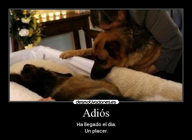 Adiós - Ha llegado el día.
Un placer.