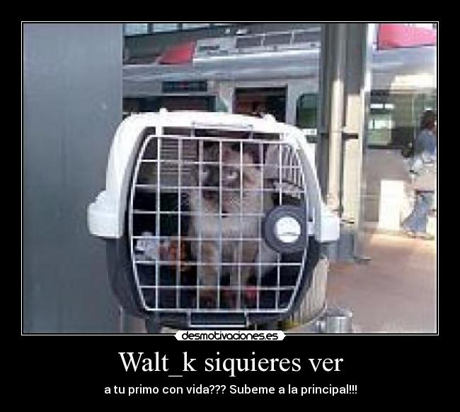 Walt_k siquieres ver - a tu primo con vida??? Subeme a la principal!!!