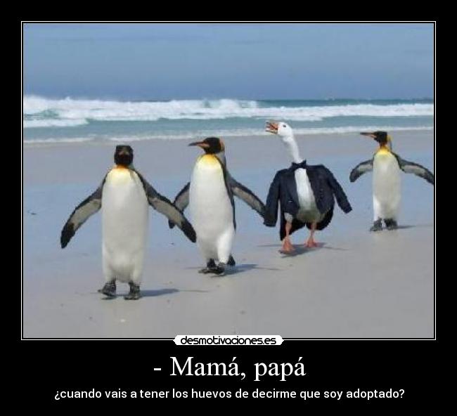 - Mamá, papá - ¿cuando vais a tener los huevos de decirme que soy adoptado?
