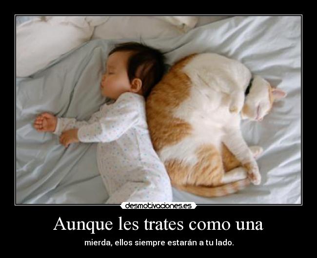 Aunque les trates como una - 