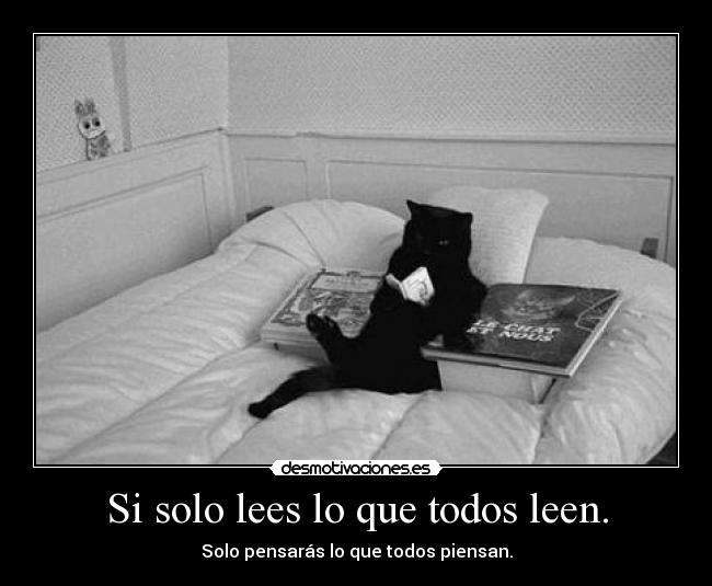 carteles psycoticlollipop cat gato leyendo si lees todos solo piensan blanco negro pandereta desmotivaciones