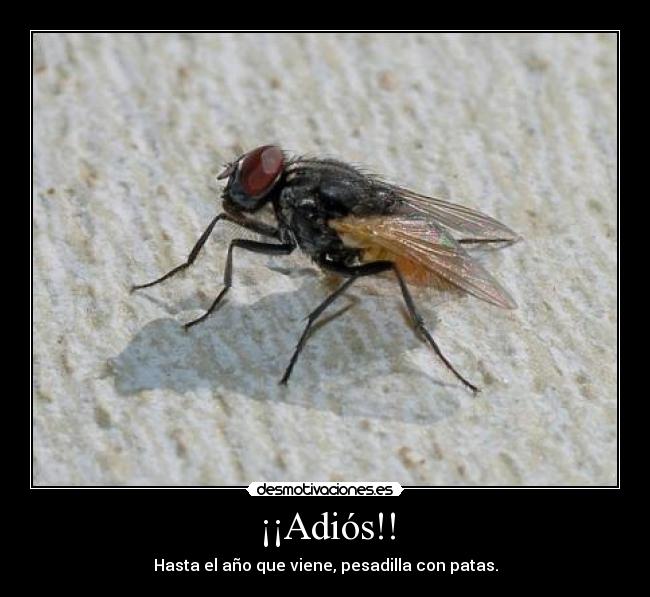 ¡¡Adiós!! - Hasta el año que viene, pesadilla con patas.