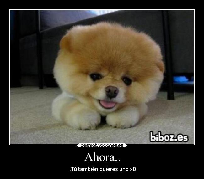 Ahora.. - ..Tú también quieres uno xD