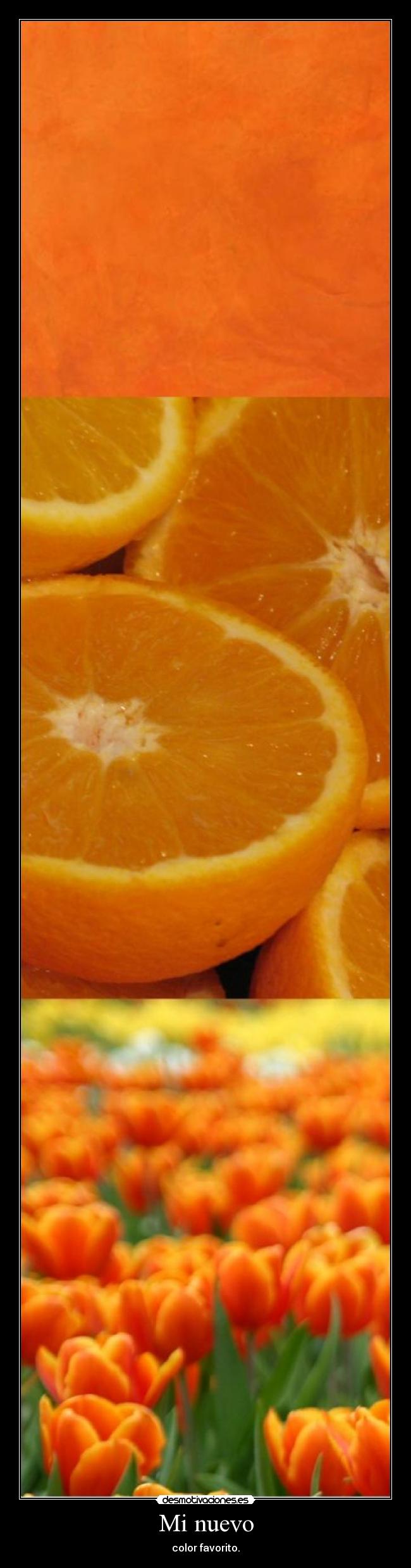 Mi nuevo - color favorito.