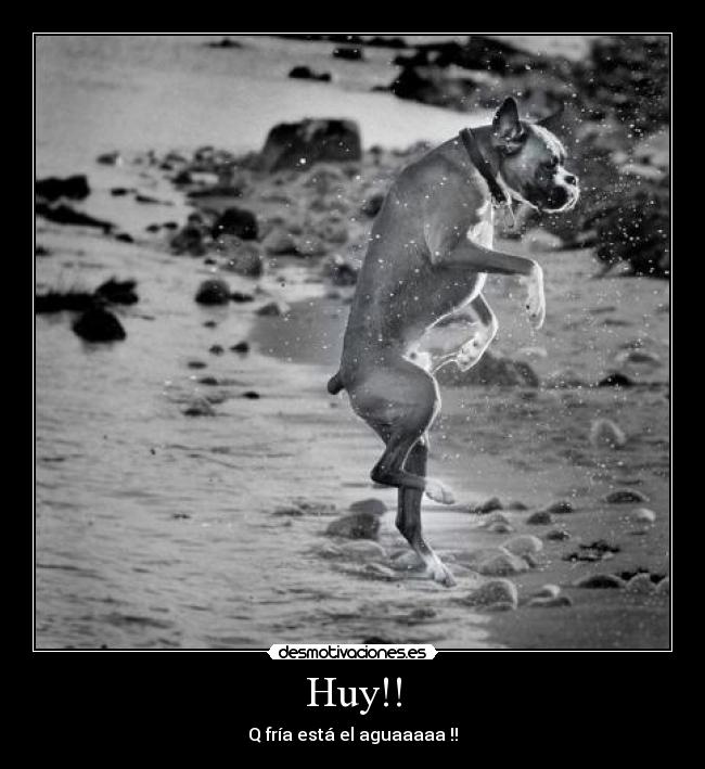 Huy!! - Q fría está el aguaaaaa !!