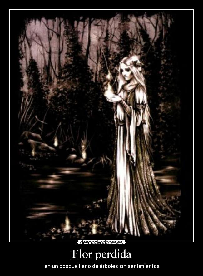 Flor perdida - en un bosque lleno de árboles sin sentimientos