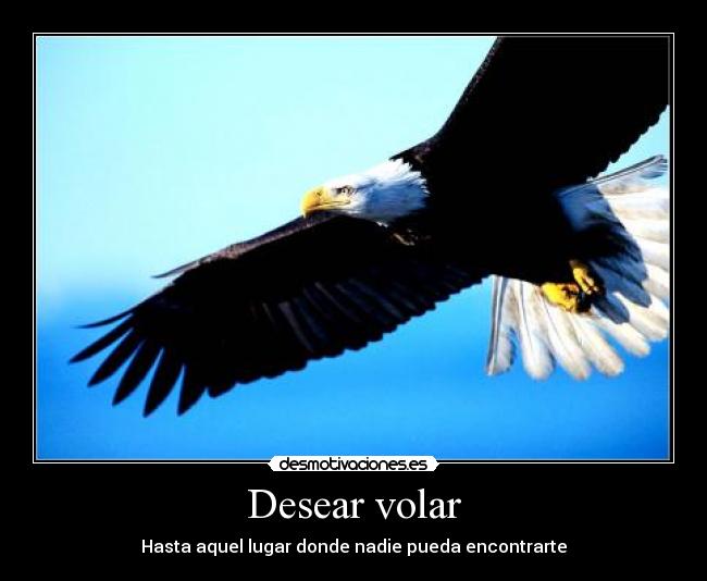 Desear volar - Hasta aquel lugar donde nadie pueda encontrarte