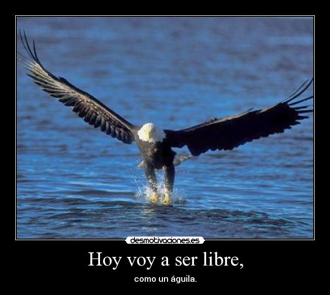 Hoy voy a ser libre, - como un águila.