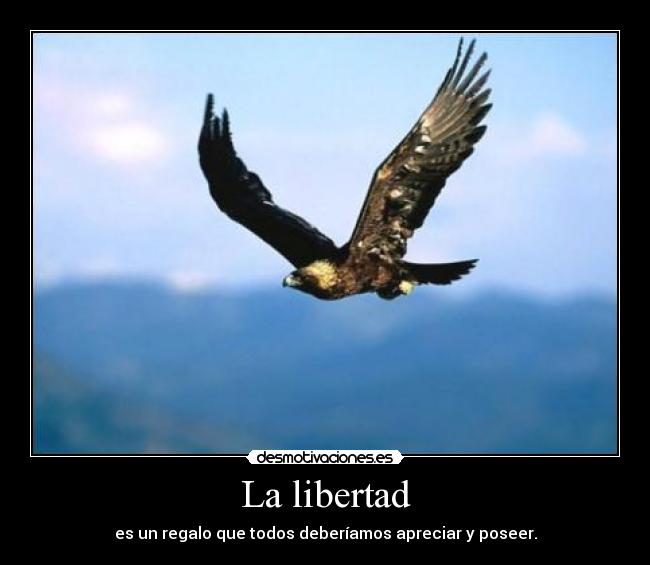 La libertad - es un regalo que todos deberíamos apreciar y poseer.