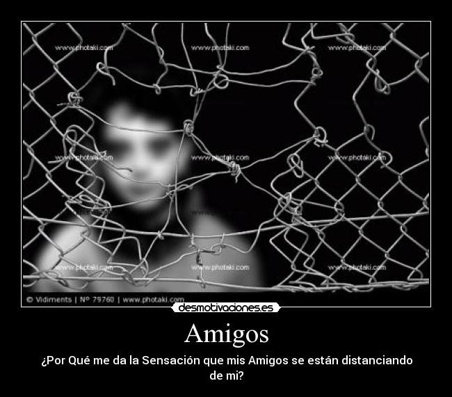 Amigos -