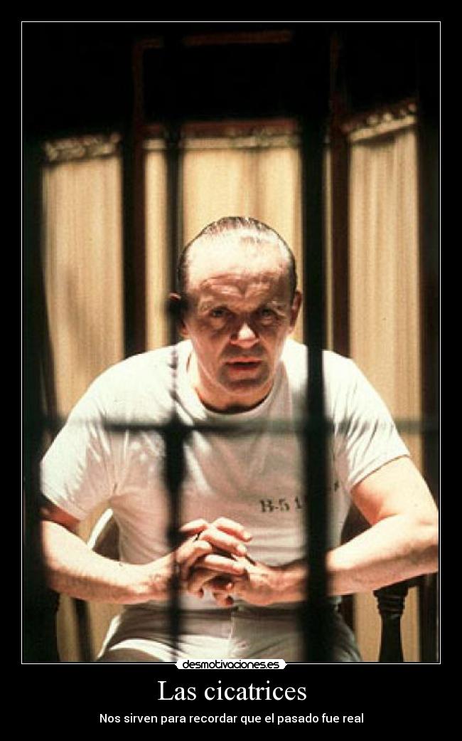 Las cicatrices - Nos sirven para recordar que el pasado fue real