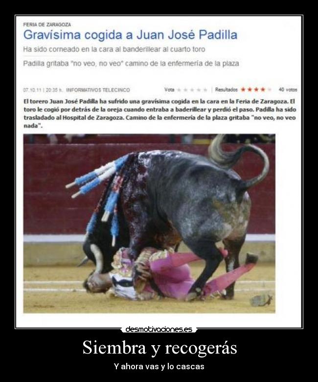 Siembra y recogerás - Y ahora vas y lo cascas