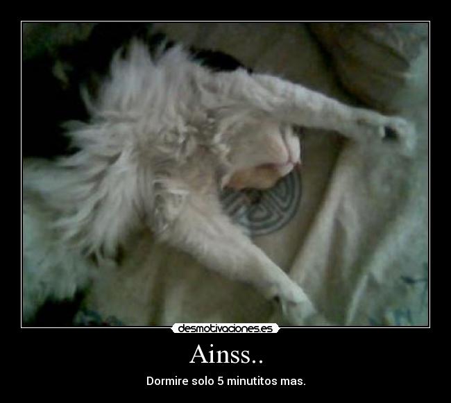 Ainss.. - Dormire solo 5 minutitos mas.