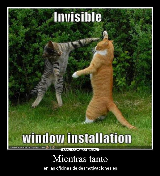 Mientras tanto - en las oficinas de desmotivaciones.es