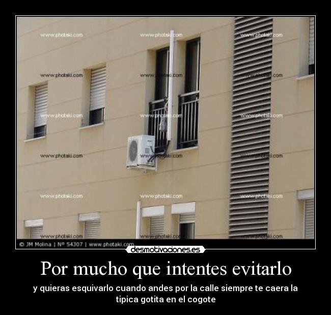 carteles whololooooo desmotivaciones