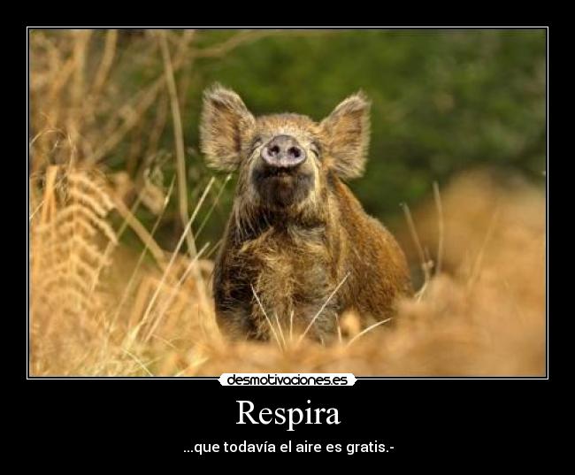 Respira -