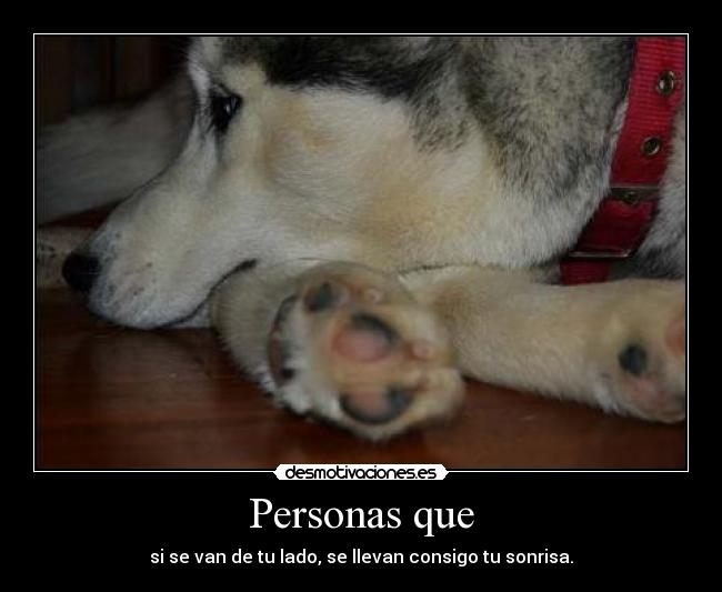 Personas que - 