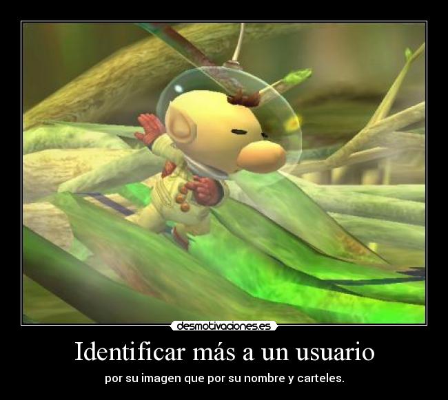 Identificar más a un usuario - 