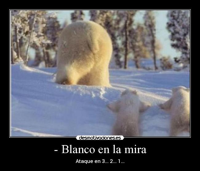 - Blanco en la mira -