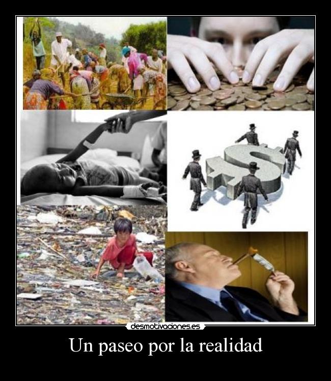 Un paseo por la realidad -
