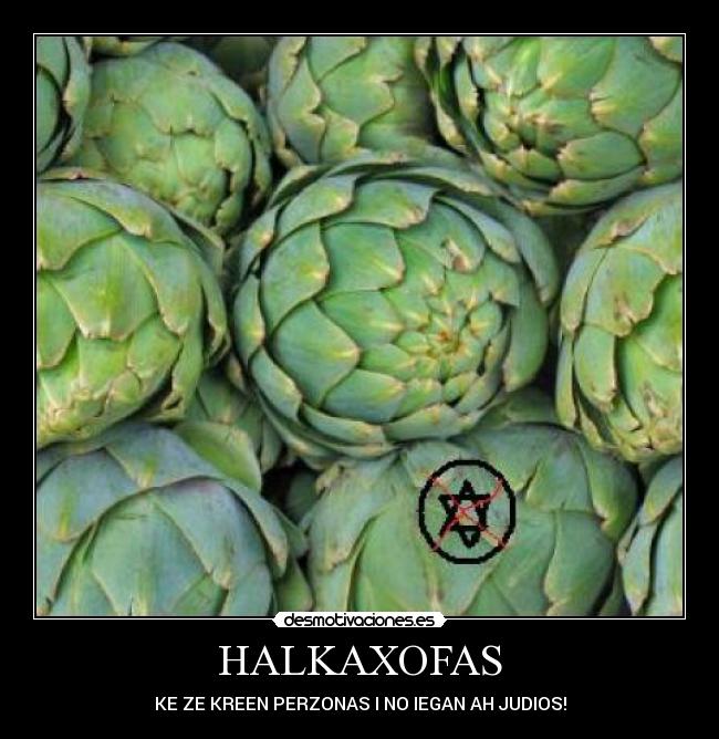 HALKAXOFAS -