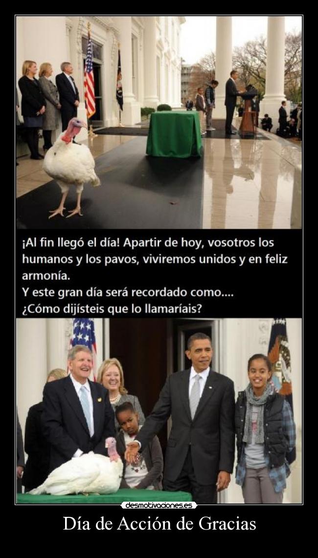 carteles eften elclanviral desmotivaciones