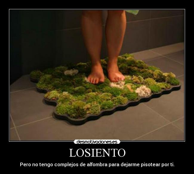 LOSIENTO -