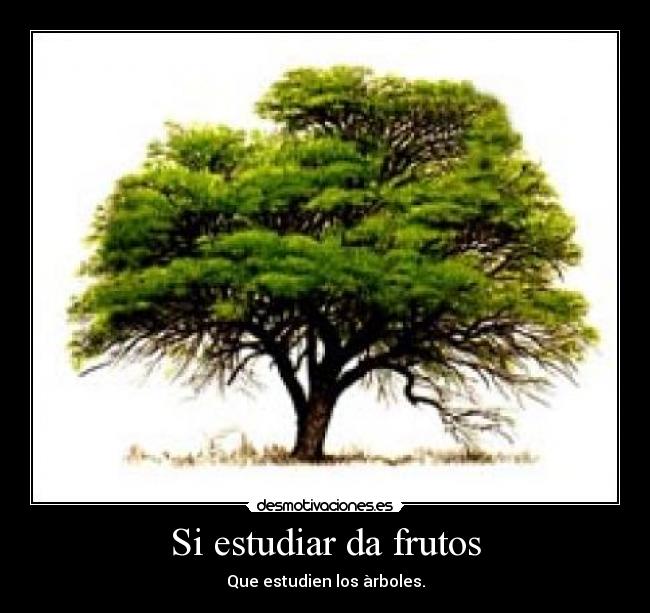 Si estudiar da frutos -