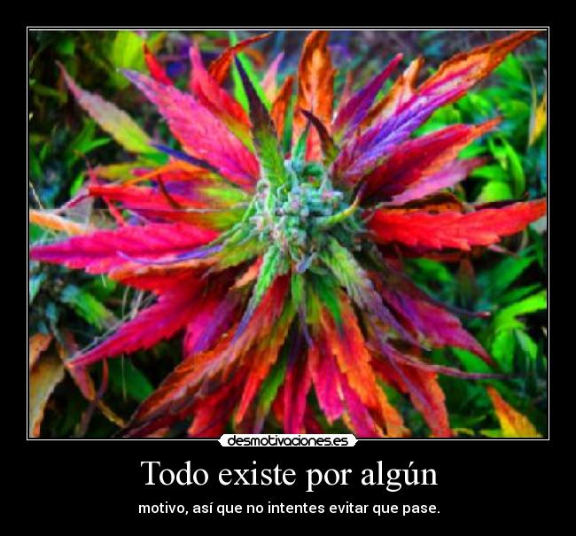 Todo existe por algún -