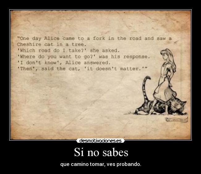 Si no sabes - que camino tomar, ves probando.