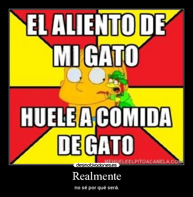 carteles comida gato desmotivaciones