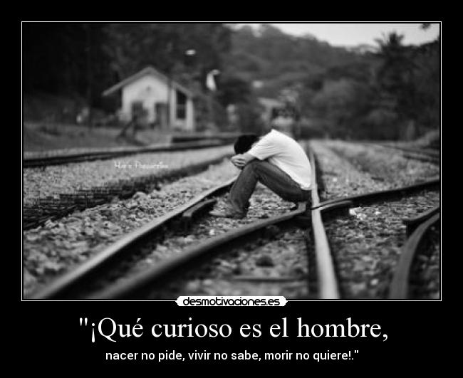 ¡Qué curioso es el hombre, - nacer no pide, vivir no sabe, morir no quiere!.
