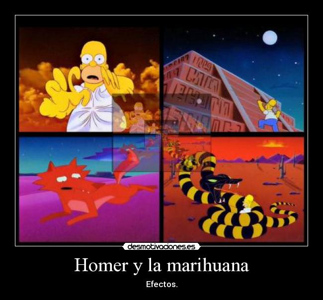 Homer y la marihuana - Efectos.