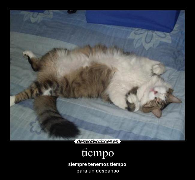 tiempo - siempre tenemos tiempo
para un descanso