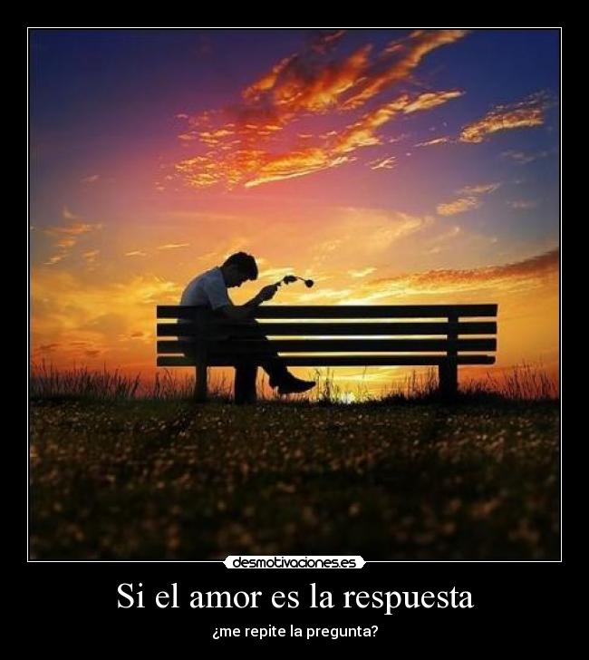 Si el amor es la respuesta - ¿me repite la pregunta?