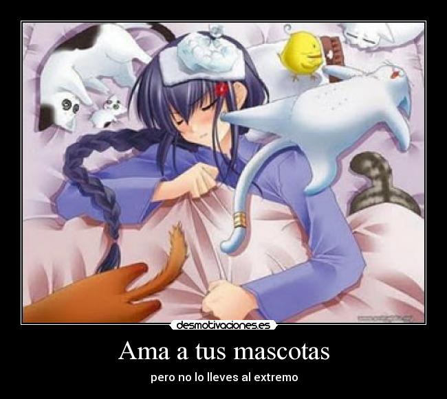 Ama a tus mascotas - pero no lo lleves al extremo