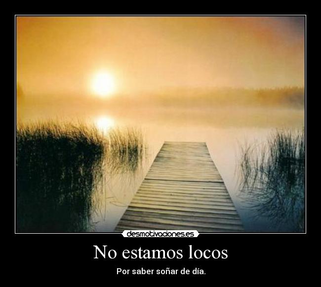 No estamos locos - 